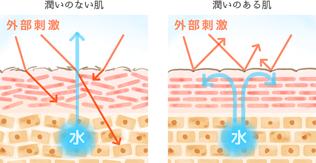 美顔器でうるおいとハリのケアをするイメージ